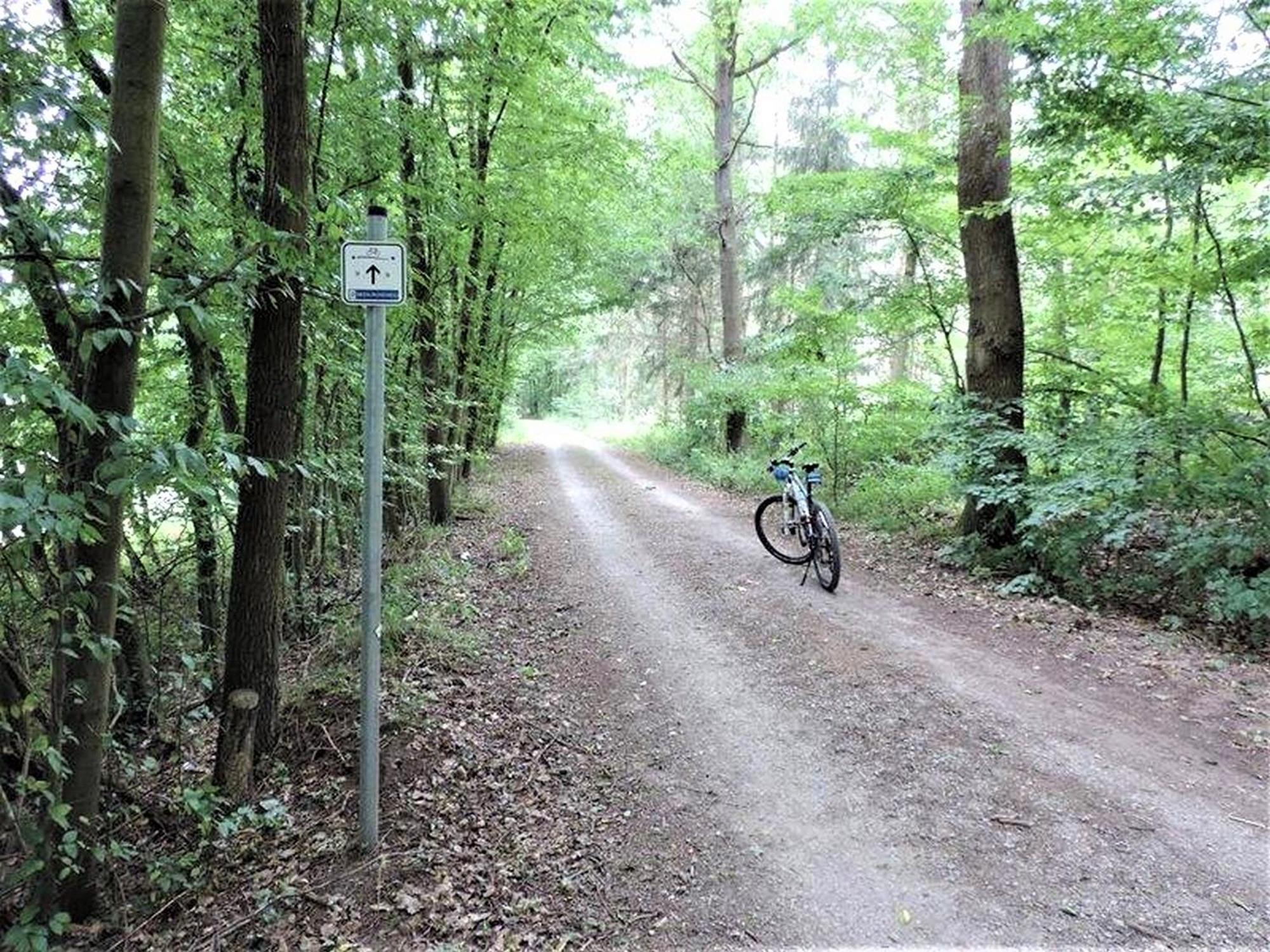 Ferienwohnung Landblick Homberg  Esterno foto